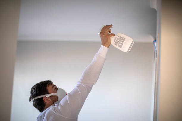 Best Office Mold Removal Services  in Andrews, SC
