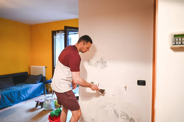 Best Home Mold Removal  in Andrews, SC